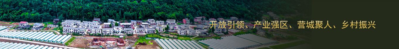 巴中锦汇